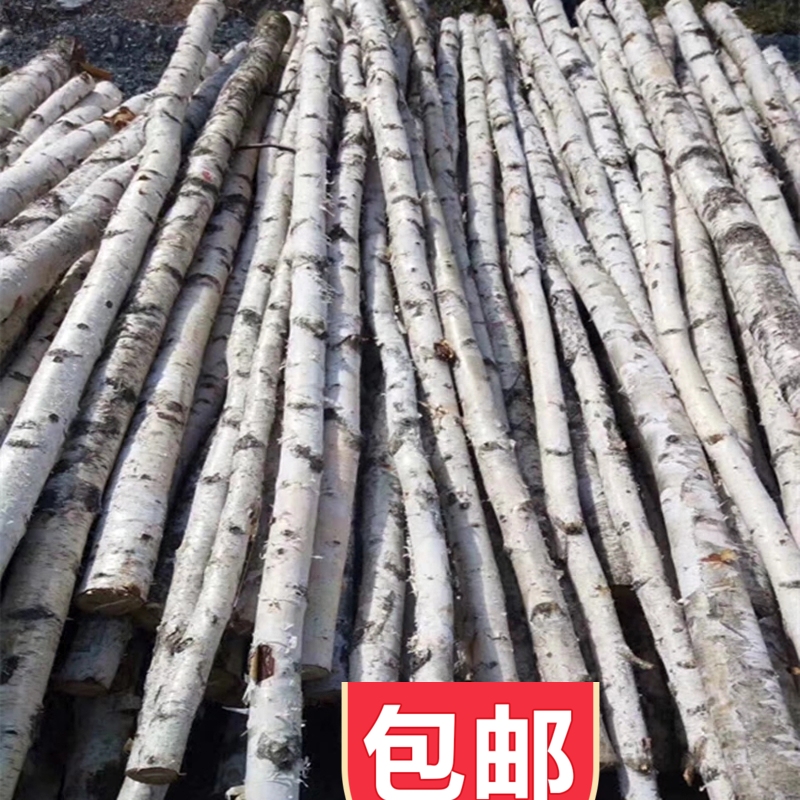 天然白桦树圆木棍：打造自然风家居装饰，点亮生活空间✨
