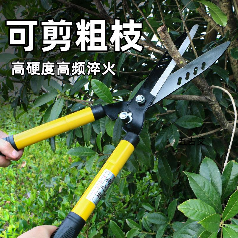 草坪专修剪林绿化修剪刀园林修枝剪苗圃修剪工具茶树花树茶叶树枝，如何选择你的园艺神器？