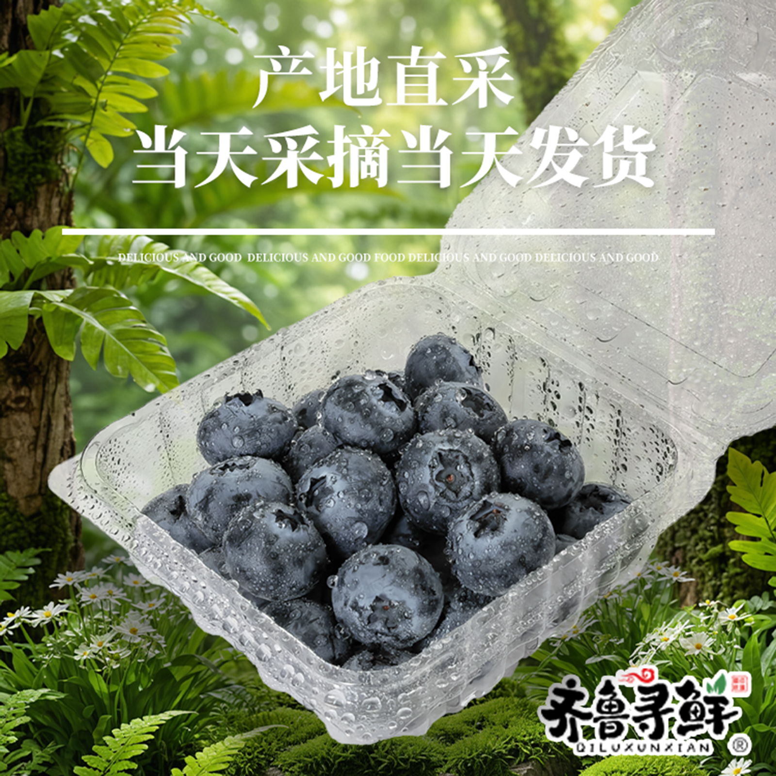 当季蓝莓鲜果来袭，孕妇最爱的超级水果，顺丰包邮到家啦！