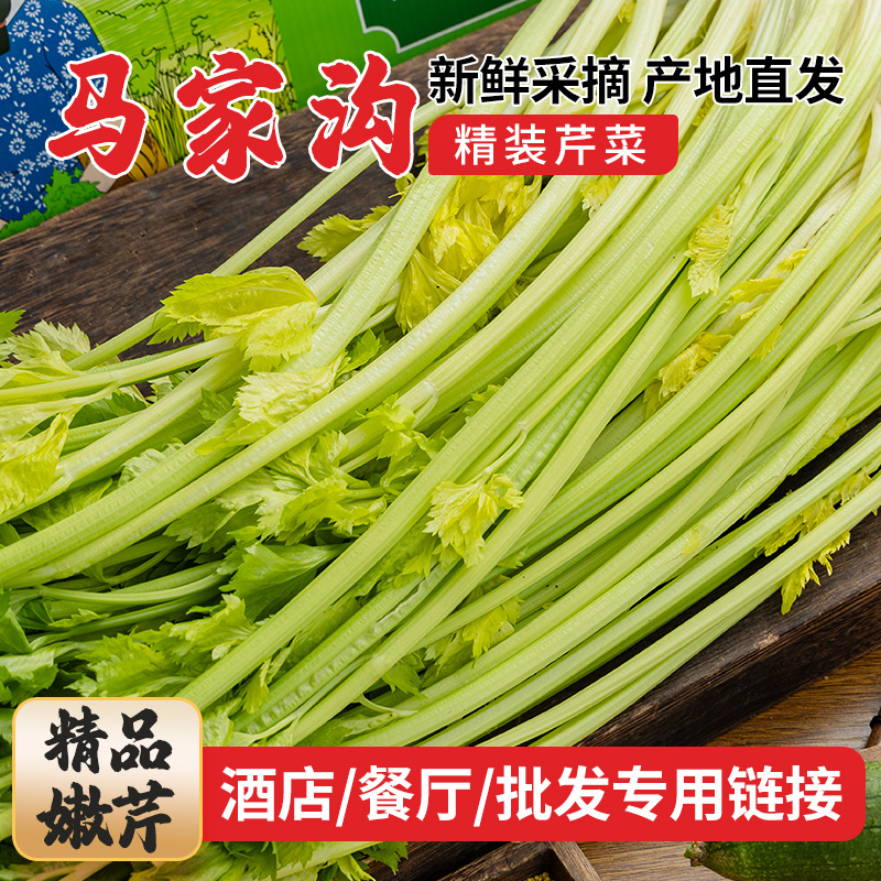 山东特产马家沟芹菜：脆嫩可口，生吃榨汁都美味