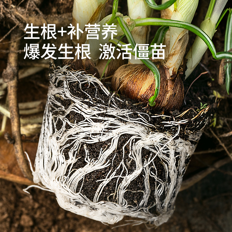 植物急救：给树木输液，让枯木逢春的秘密大公开！