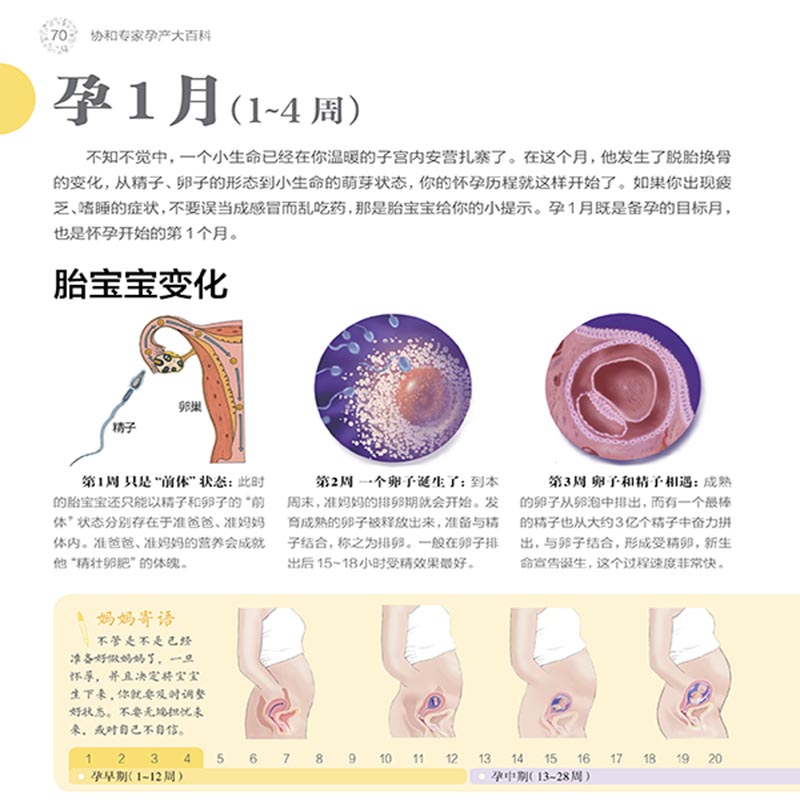 天猫书城首页有哪些特色功能？网购书籍新体验