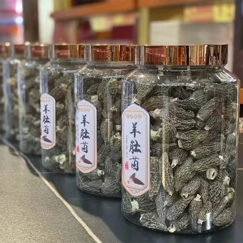 鹿茸菇哪五种人不宜吃？绝绝子，揭秘食用禁忌，拯救你的健康！