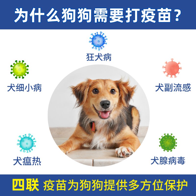 中牧幼犬疫苗外用四联3支+狂犬1支能有效预防犬瘟吗？