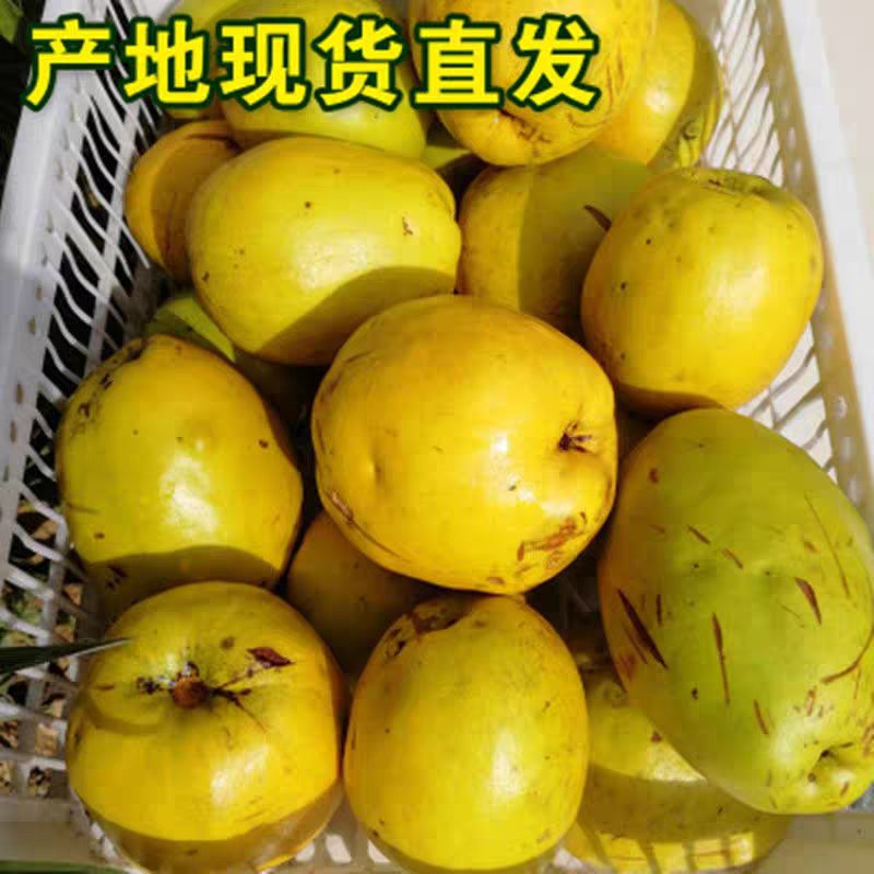 2023车载室内闻香木瓜，北方宣目瓜家居除味增香神器！✨