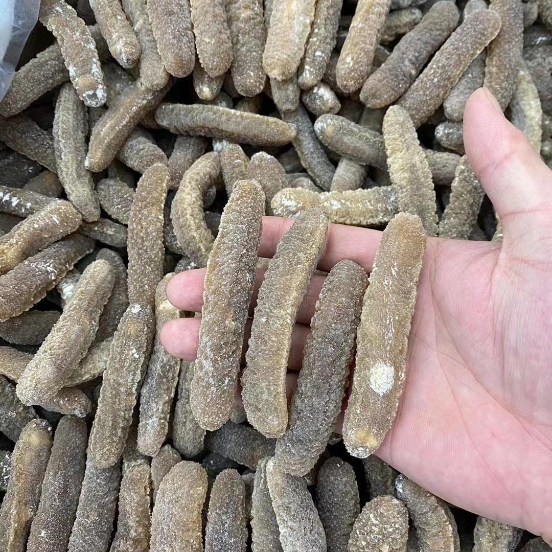 澳洲深海黄金参！光秃澳海域的天然淡干海参，泡发后惊艳全场