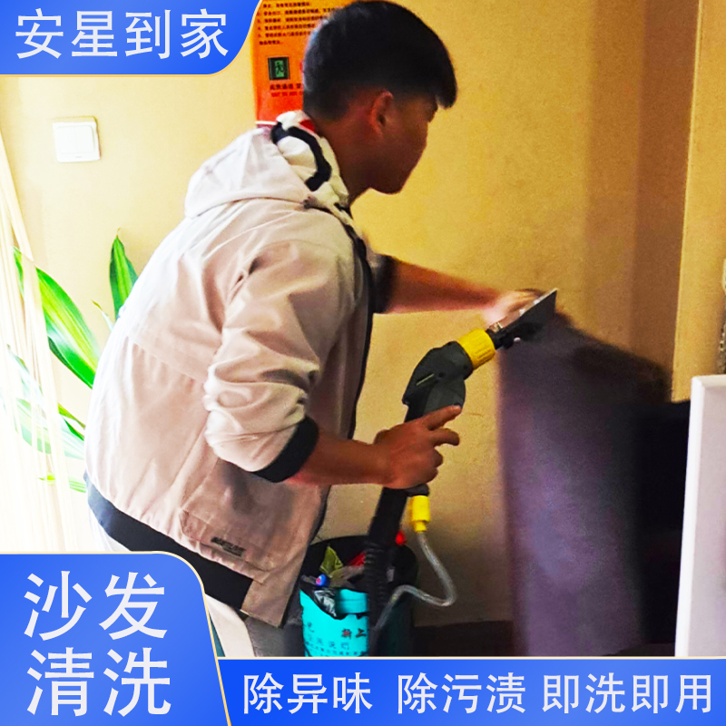 地毯清洗服务大揭秘：办公室、家庭、酒店，全方位上门清洁，告别脏污烦恼！