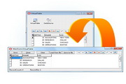 VirtualTable9.6.11 For RAD Studio XE5