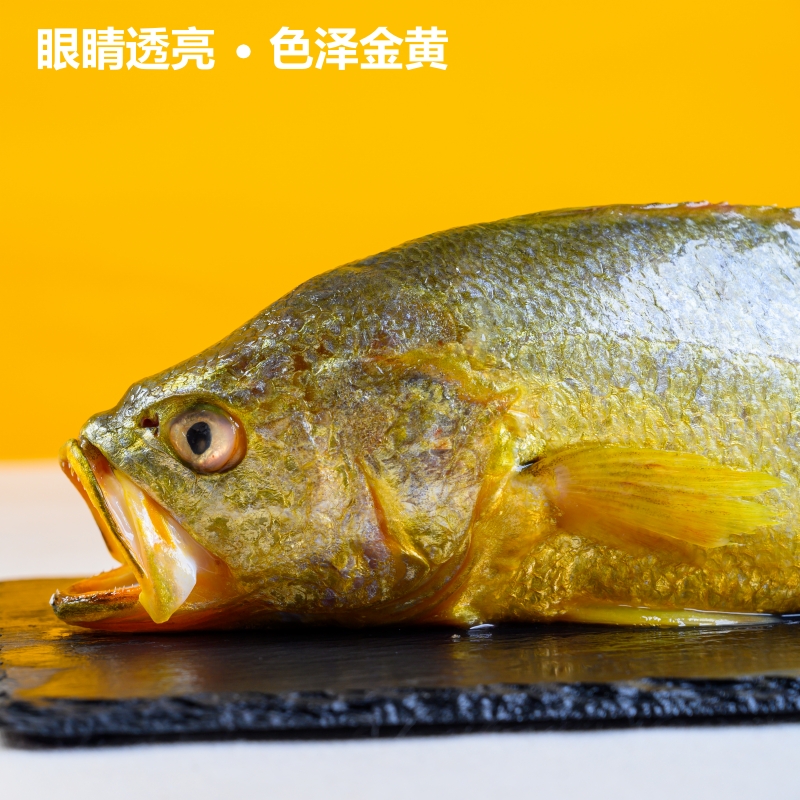 宁德黄鱼鲞：福建开背大黄鱼，咸香黄花鱼，三去小黄瓜鱼，新鲜腌制非干货的秘密！