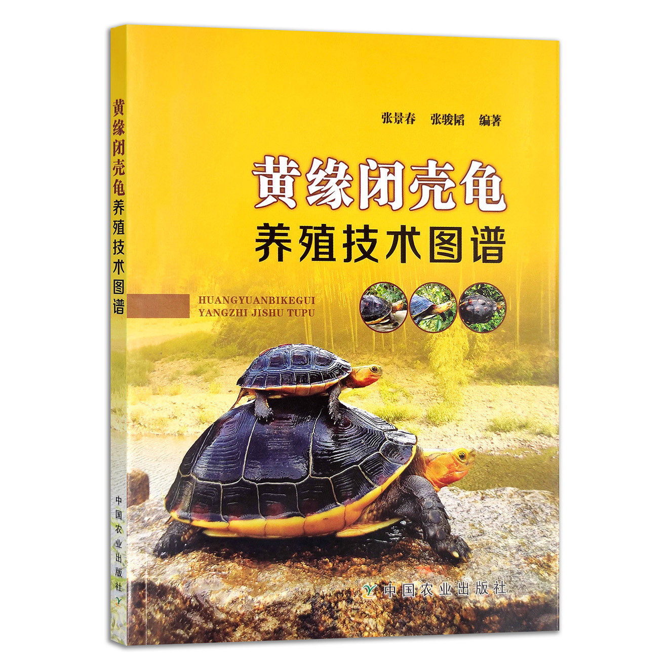 淡水龟养殖秘籍【官方正版】黄缘闭壳龟养殖技术图谱，开启你的乌龟养殖之旅！