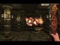 魔石堡免安装绿色版[GOG版]12