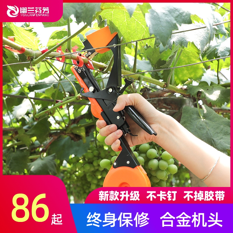 全新绑枝机：西红柿、葡萄、黄瓜的种植利器，农业界的绑枝神器！