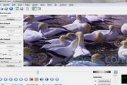 AviDemux (x64)2.6.11 beta 1