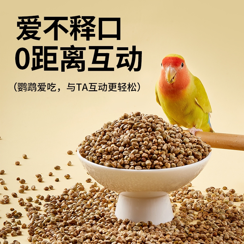 新鲜即食鹦鹉零食：让宠物鸟享受绿色盛宴