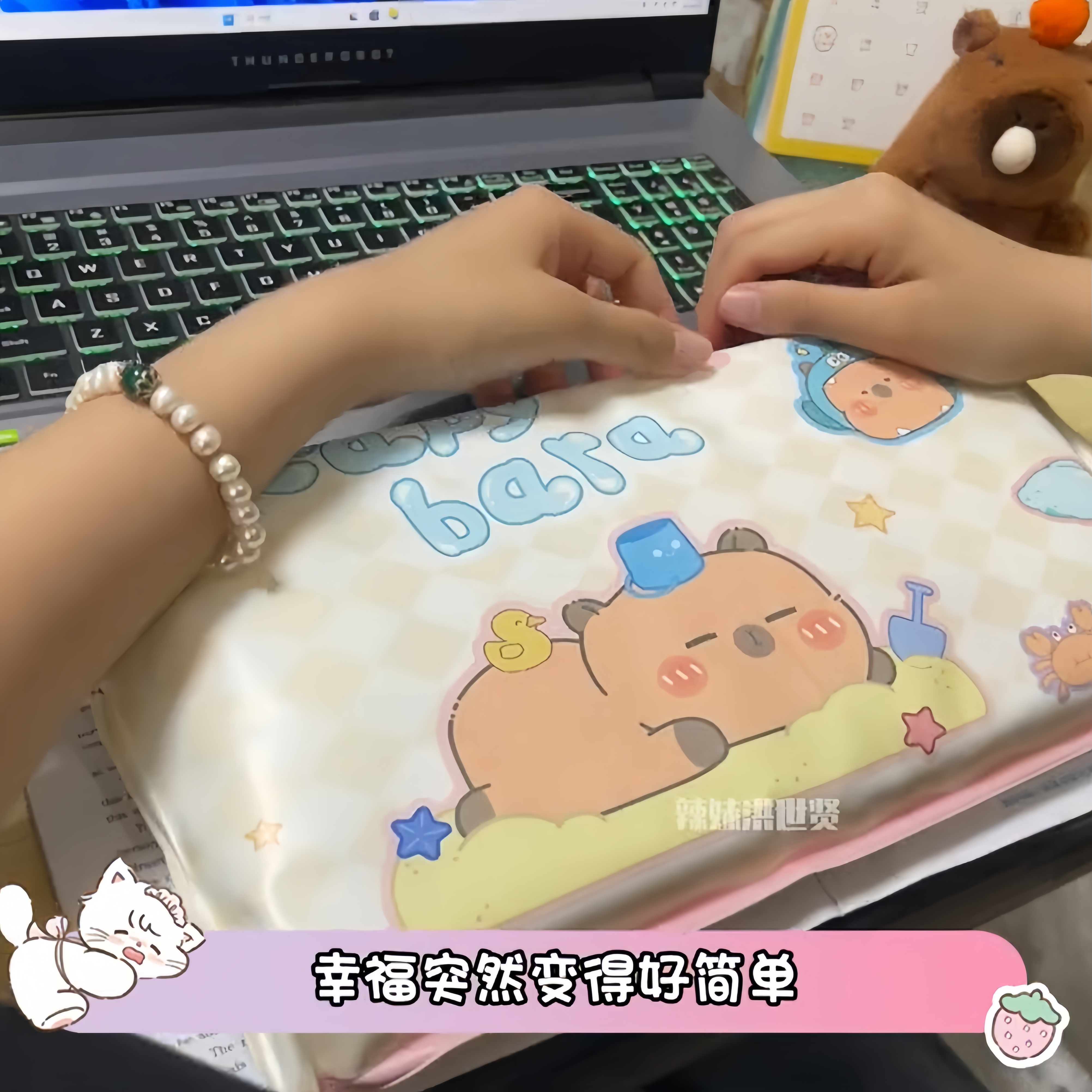 夏日必备！卡通可爱卡皮巴拉冰枕：办公室与午睡降温神器