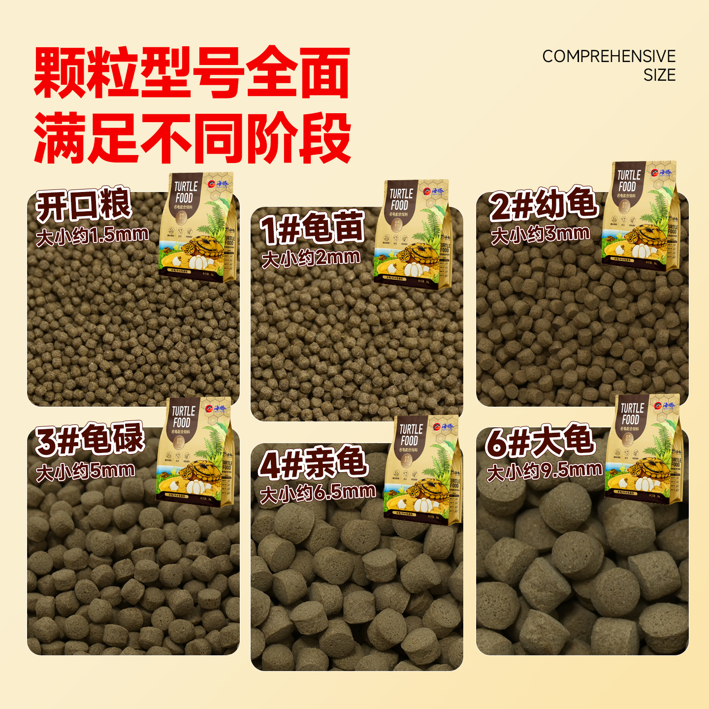 龟粮大揭秘：石金钱乌龟的专属美食，让宠物龟健康成长！