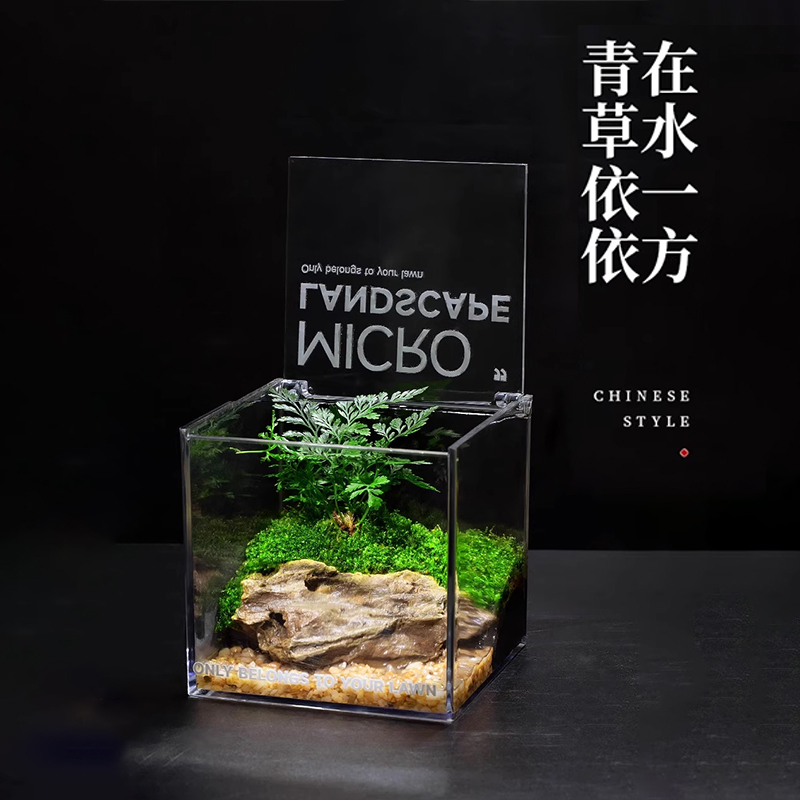 苔藓微景观：打造桌面绿意小森林，透明亚克力盆栽器皿生态瓶✨