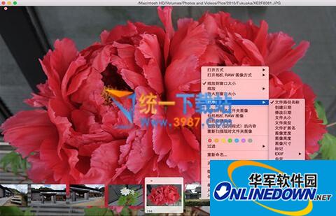 ApolloOne macv2.0.1 免费版