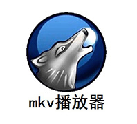 MKV播放器2023