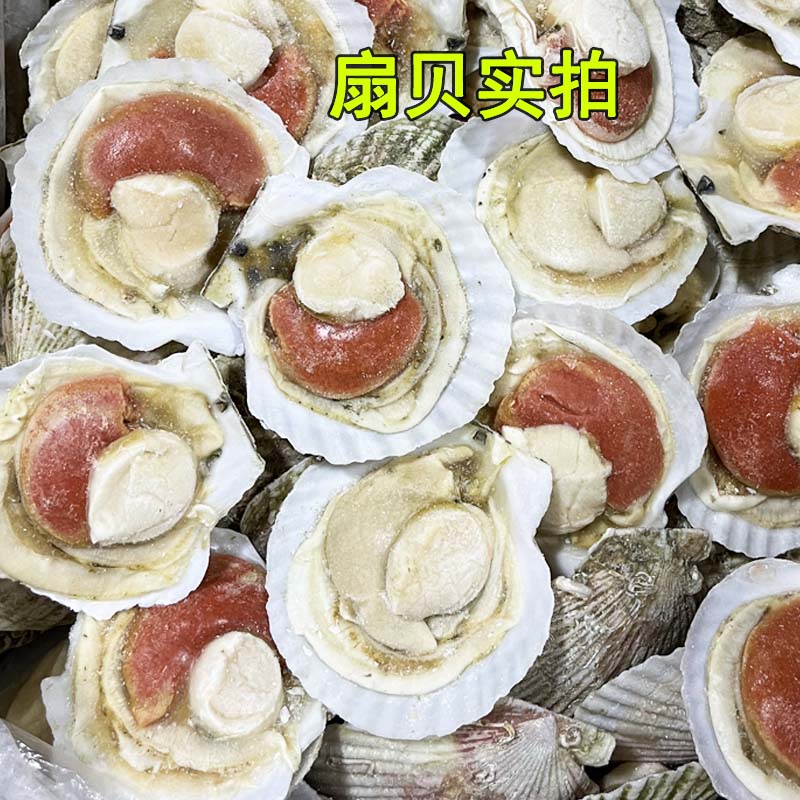 鲜活发货 | 夏威夷贝虾夷贝大号蒜蓉粉丝夏怡贝海鲜水产扇贝3斤装包：鲜美滋味，一口入魂！