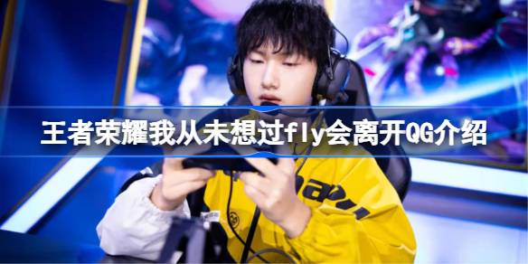 王者荣耀我从未想过fly会离开QG是怎么回事 王者荣耀我从未想过fly会离开QG介绍