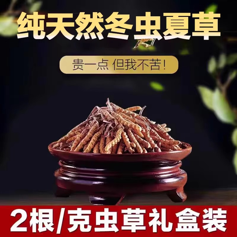 正宗冬虫夏草礼盒装：送礼佳节必备，营养与心意的完美结合