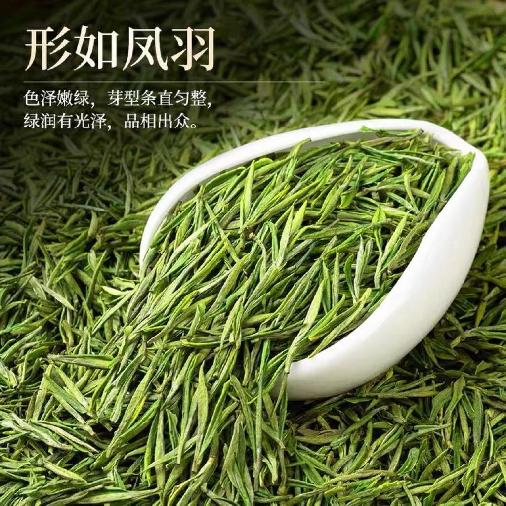 攸乐山:青山寻茶，探寻茶香秘境