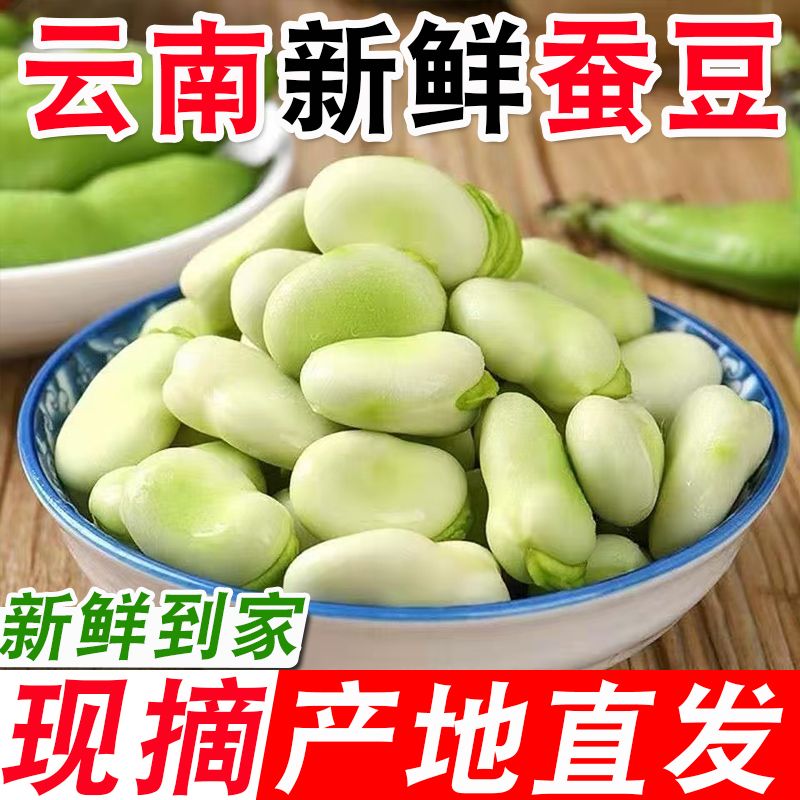 新鲜采摘！云南嫩蚕豆角，尝鲜就现在！