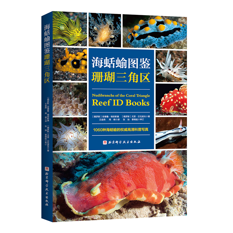 海蛞蝓图鉴：珊瑚三角区的神秘生物大揭秘！