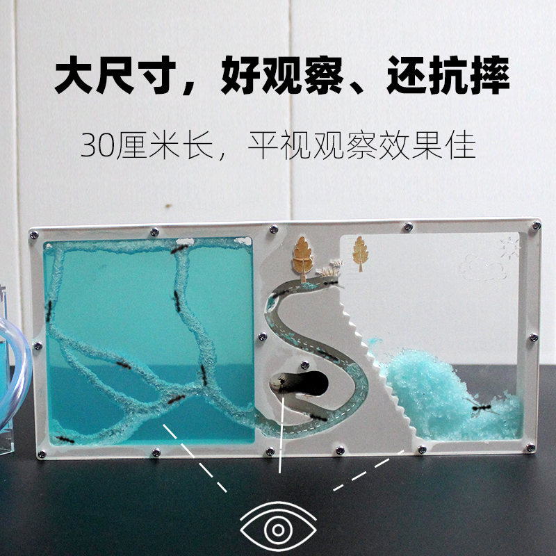 超大号蚂蚁工坊城堡：打造你的迷你王国，弓背蚁后窝观察盒玩具来袭！