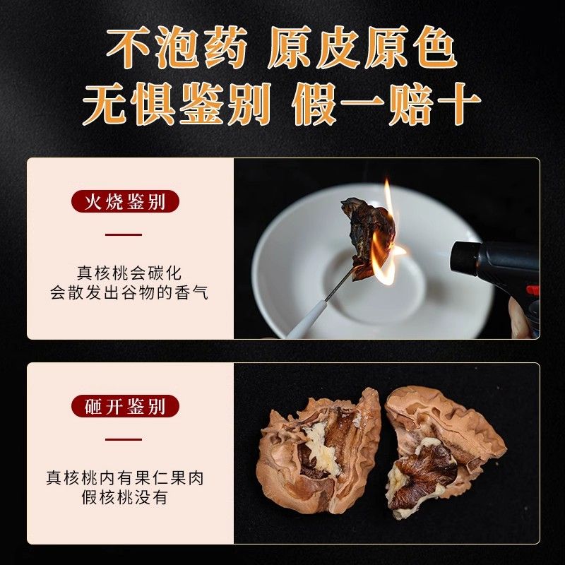 深海探险指南：《深海:探索寂静的未知》带你潜入神秘深渊