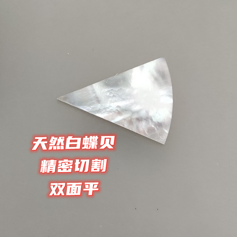 白扇贝壳DIY涂色太上头！手残党也能玩出高级感✨