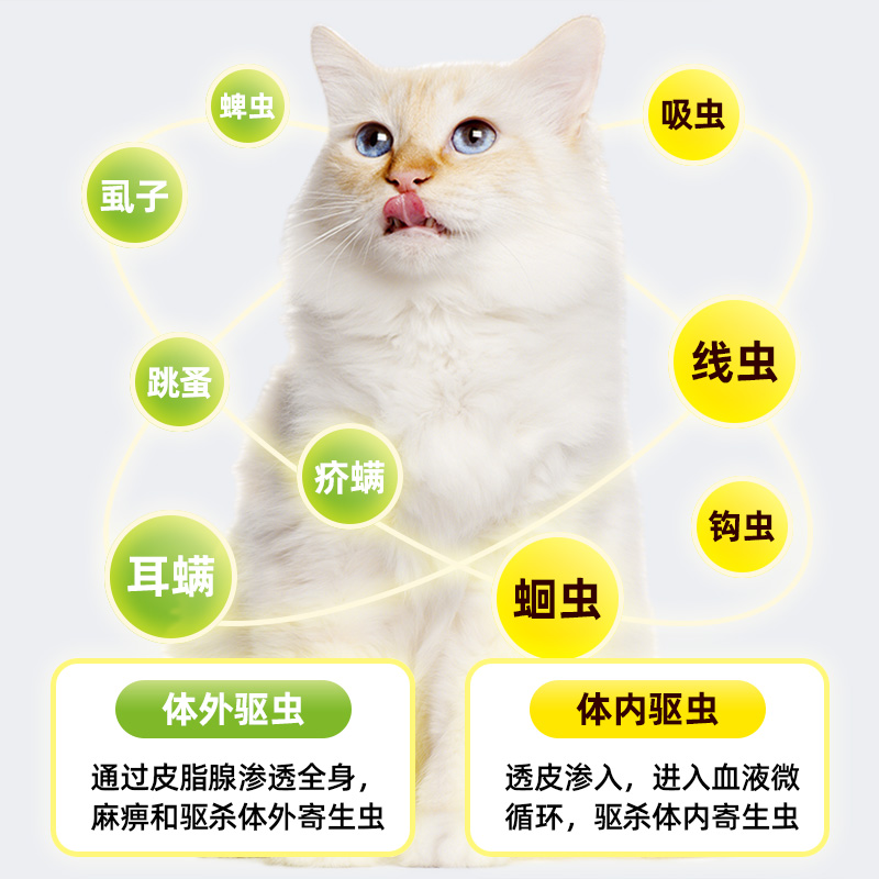粤迪驱虫药：宠物驱虫神器，守护毛孩子健康的小秘密！