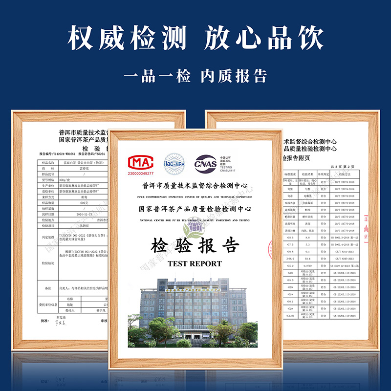 2020年云南景迈古树白茶饼茶：唤醒味蕾的千年古韵