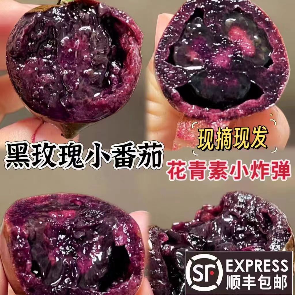 山努玫瑰番茄：自然熟甜美的多汁小柿子✨