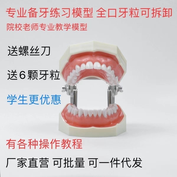 牙科备牙模型：学生考试必备神器，口腔仿真模具助你通关_exam_!