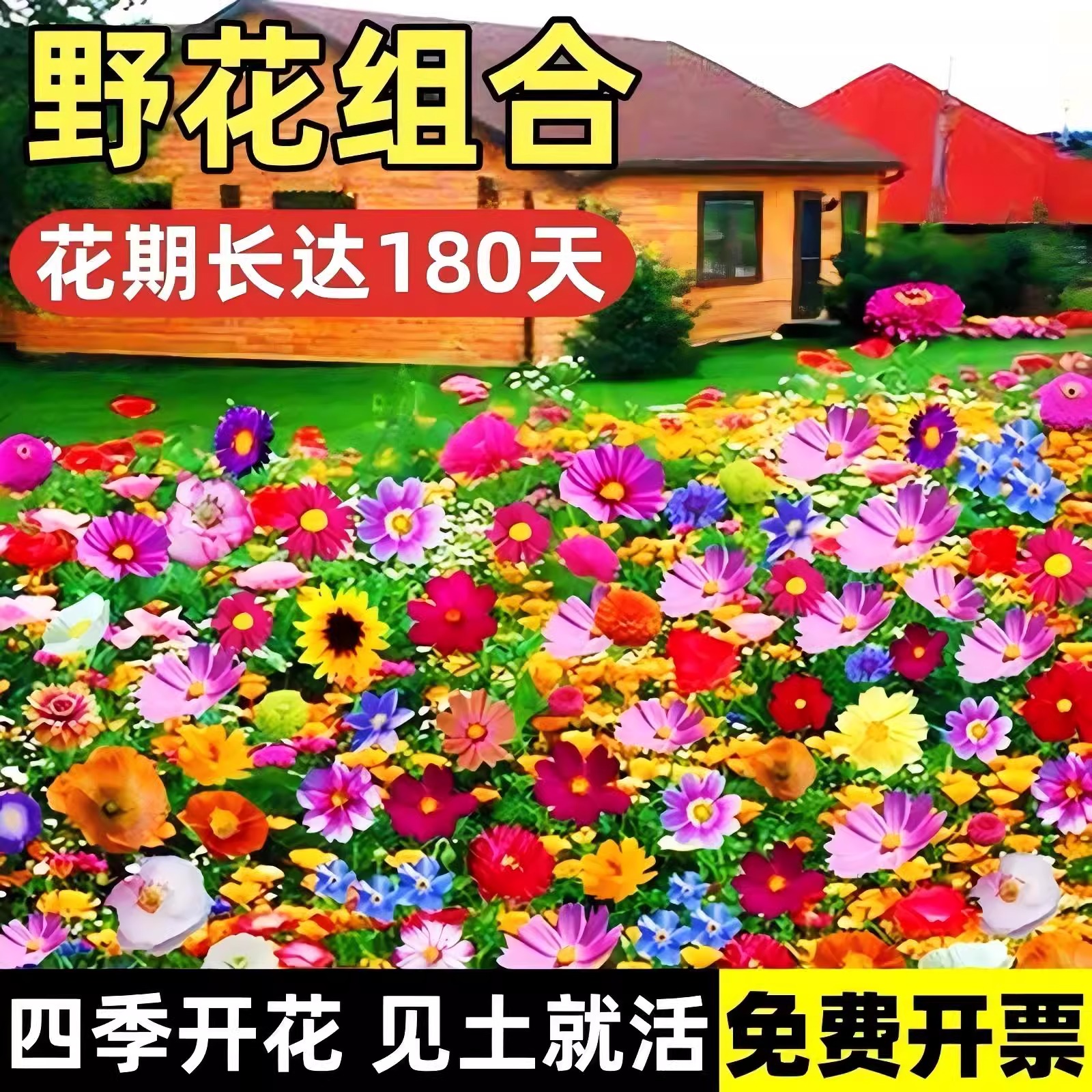 世纪佳缘相亲要花多少钱？揭秘真实费用，别再被坑了！