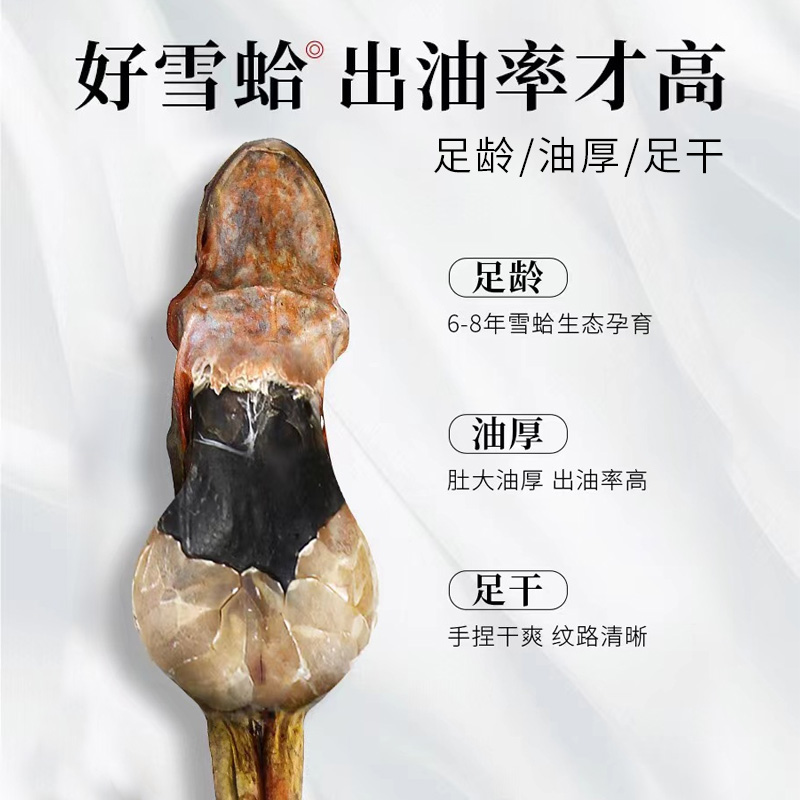 北国雪珍：林蛙蛤蟆皮，东北长白山雪蛤皮的神秘魅力与营养价值大揭秘！