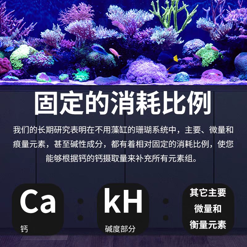 Redsea红海4部分珊瑚护理系统套装：给你的珊瑚一个健康的家！