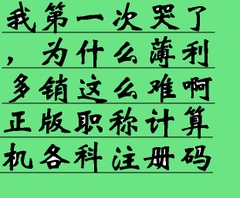 2025年计算机职称考试必备！Word2007题库软件测评，不看后悔