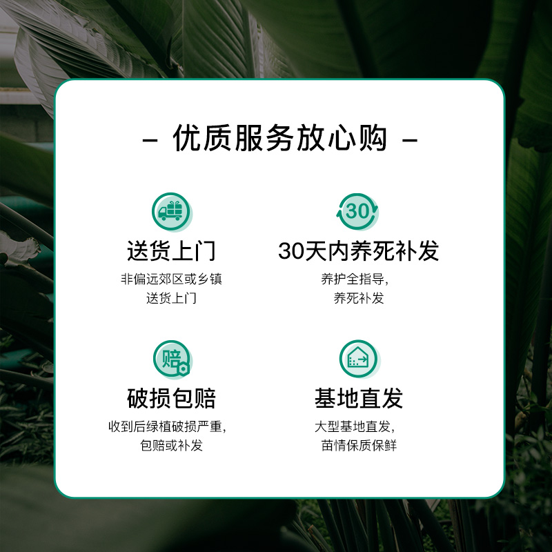 揭秘真相！SmartMall是骗局还是购物天堂？