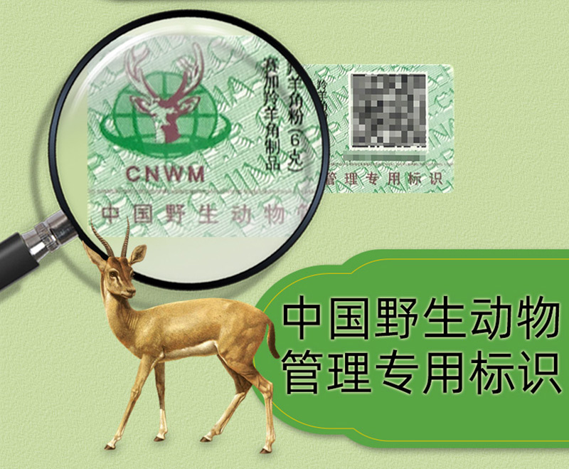 钱王羚羊角粉0.3g*10瓶/盒！平肝息风神器，惊痫抽搐救星？真的这么神？