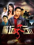 警坛风云第二部