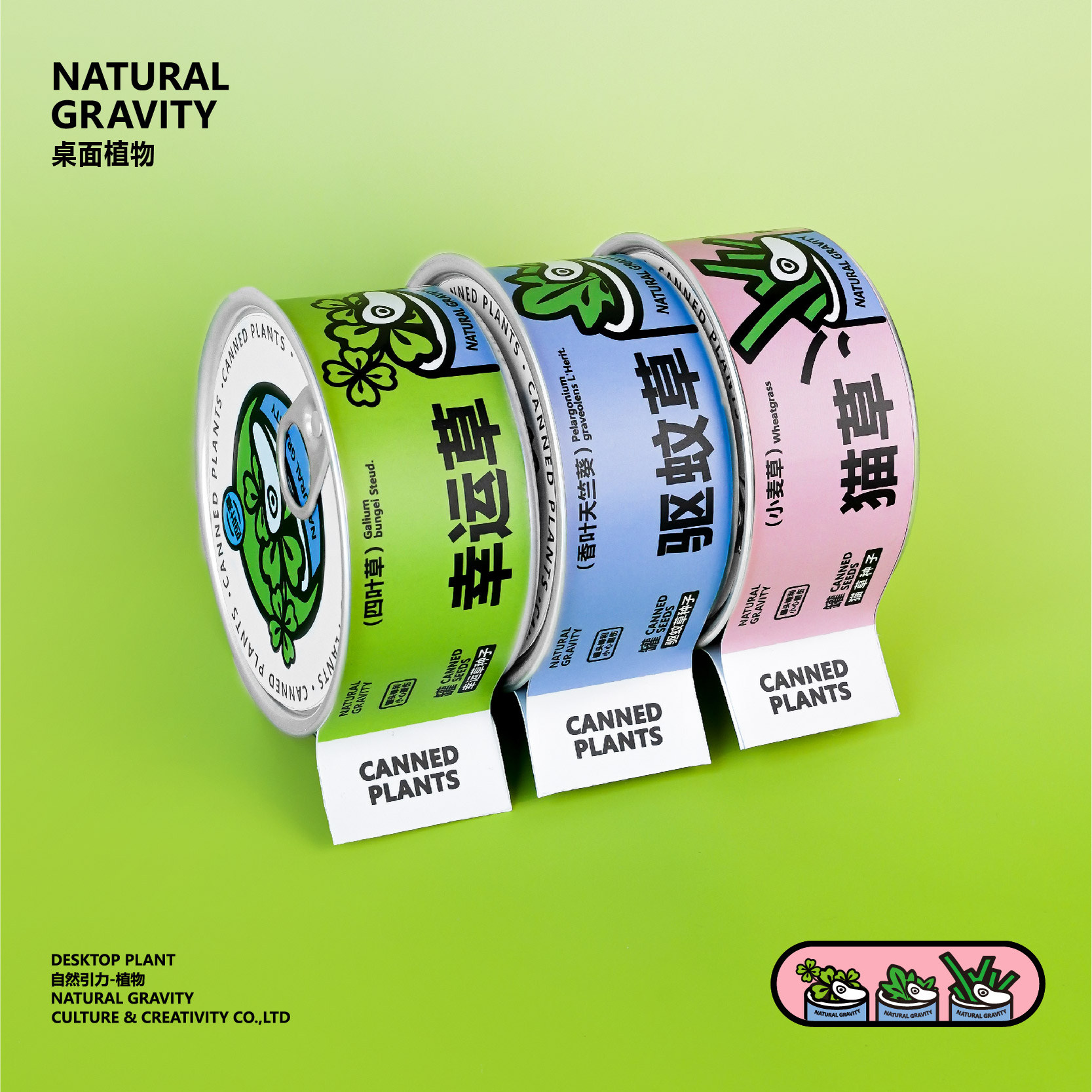 自然引力-种子计划：懒人植物界的超级英雄 | 幸运转不停，幸运草罐头来啦！