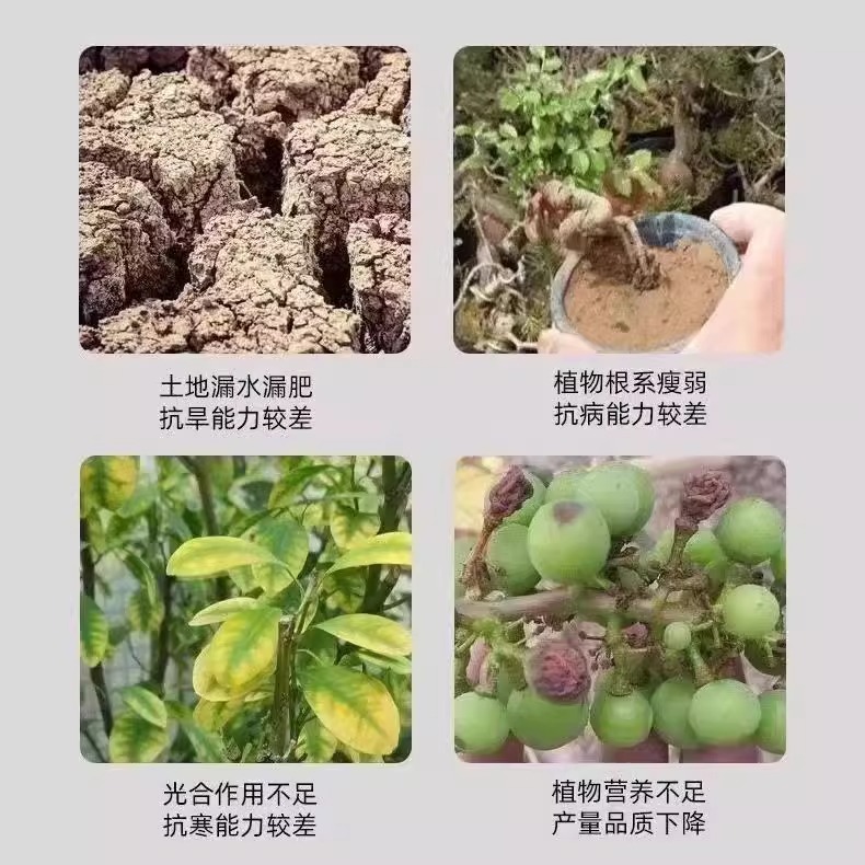 土壤活化剂黑水肥料：解锁植物生长的黑科技，拯救板结土壤的秘密武器！