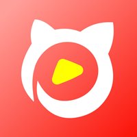 猫咪社区下载地址