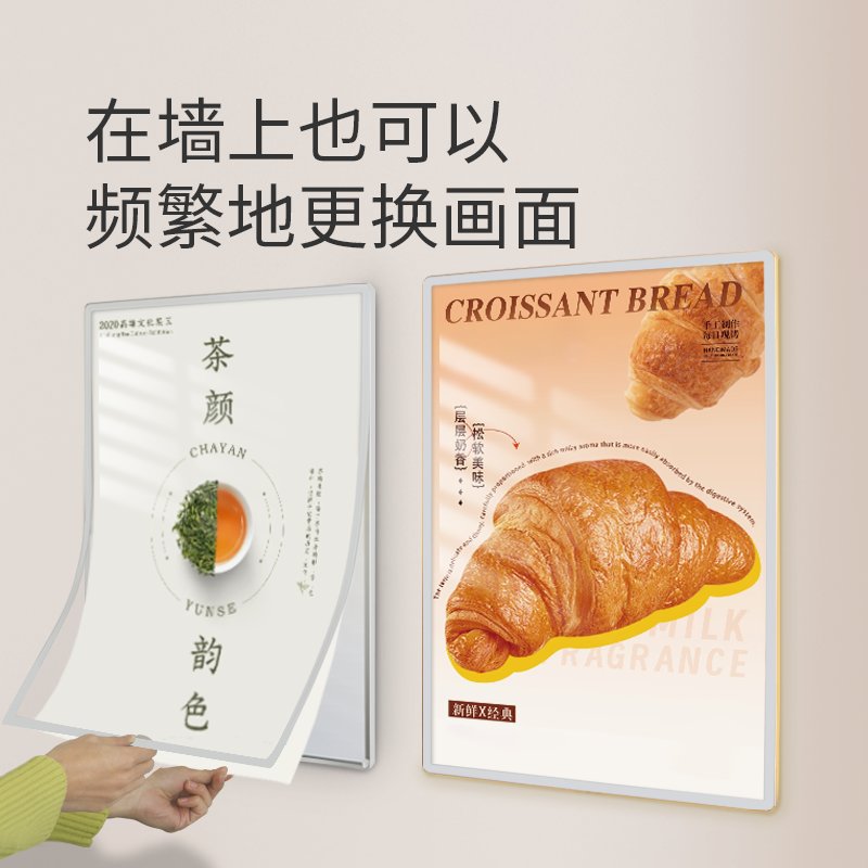 揭秘杰乐的“萌照”背后：宠物摄影的艺术与秘密!