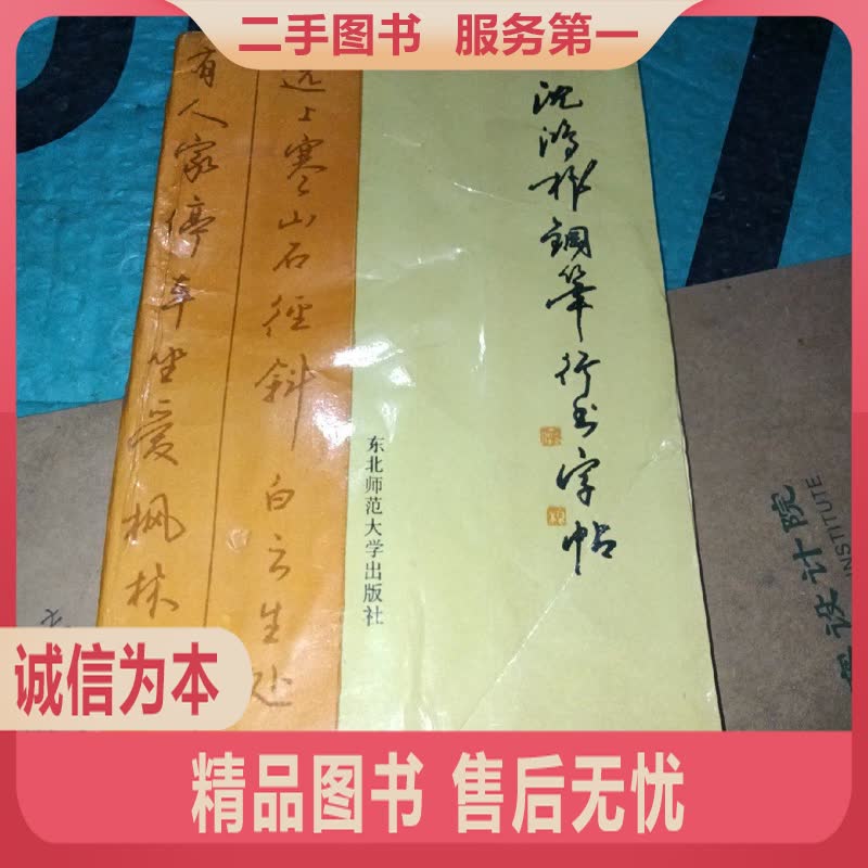 正版沈鸿根钢笔行书字帖：魅力江鸟，东北师大精品集，练字达人必入！