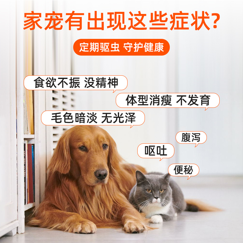 國際快遞大陸到台灣集運：物流新選擇，海運海快大貨轉運全攻略！