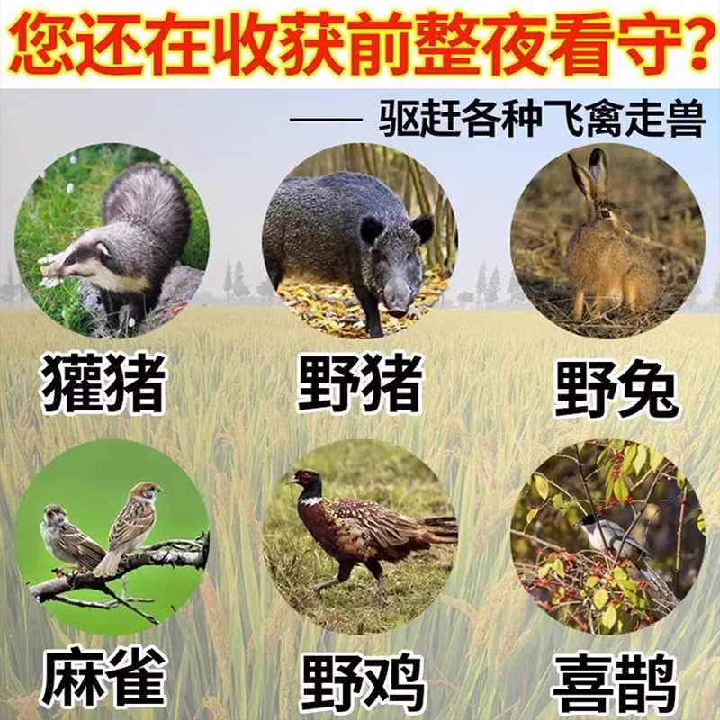 户外守护神：太阳能超声波动物驱赶器，守护你的田园安全！️